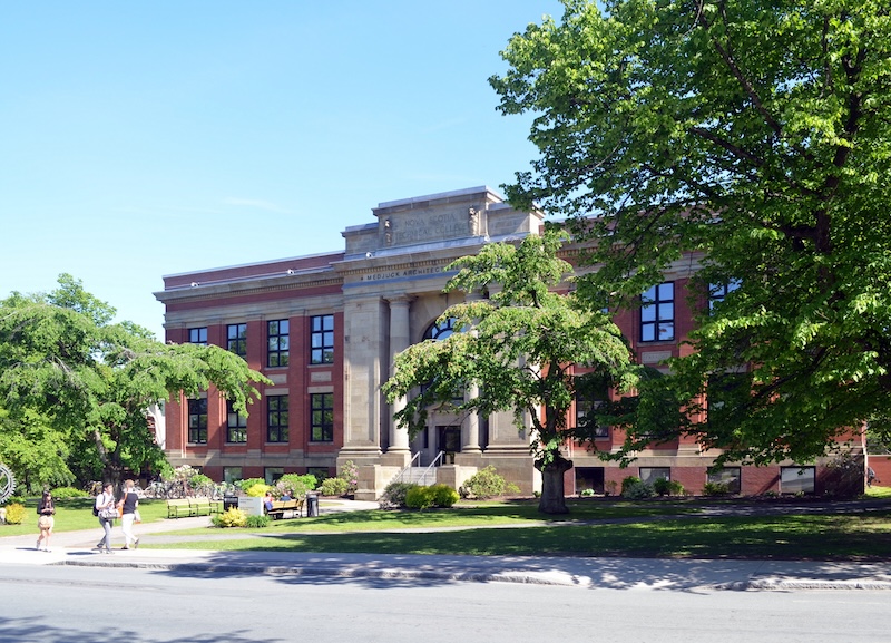 The Faculty of Management